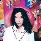 guess the 90s Bjork